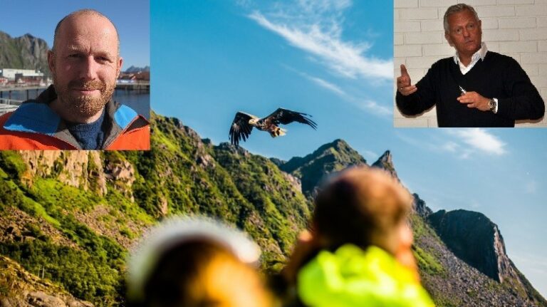 Havørnsafari Lofoten.