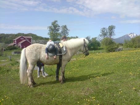 Lofoten hestesenter.