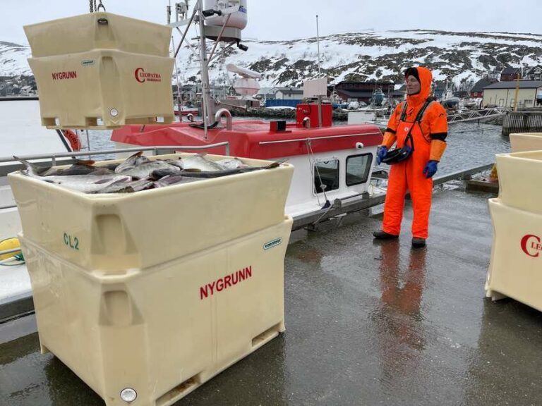 Norges Fiskarlag vil ha tiltak for å skjerme kysttorsken, men mener mange av forslagene fra Fiskeridirektoratet er for omfattende. Foto: Øystein Ingilæ